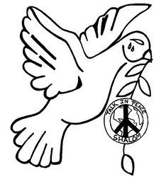 TALK IN PEACE SHALOM logo