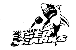 TALLAHASSEE TIGER SHARKS logo