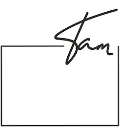 TAM logo