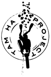 TAM HA PROJECT logo