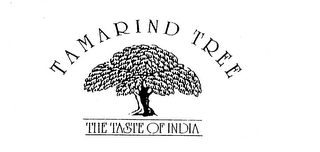 TAMARIND TREE THE TASTE OF INDIA logo