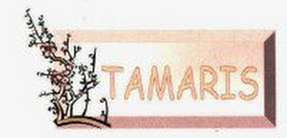 TAMARIS logo