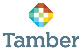 TAMBER logo