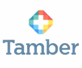 TAMBER logo