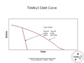 TAMBY3 DEBT CURVE DOLLARS TIME YOUR CHOICE: PAY-OFF USING GAINS PAY-OFF USING CASH FLOW logo