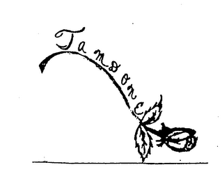 TAMDONE logo
