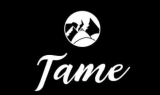 TAME logo