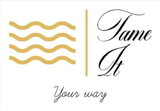 TAME IT YOUR WAY logo