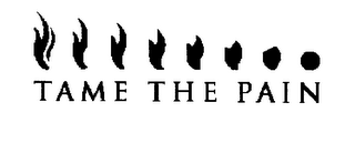 TAME THE PAIN logo
