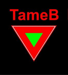 TAMEB logo