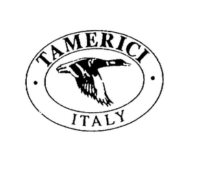 TAMERICI ITALY logo