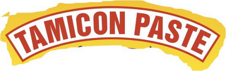 TAMICON PASTE logo