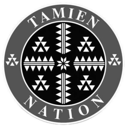 TAMIEN NATION logo
