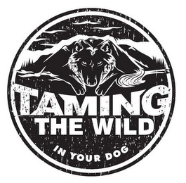 TAMING THE WILD IN YOUR DOG logo