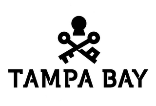TAMPA BAY logo