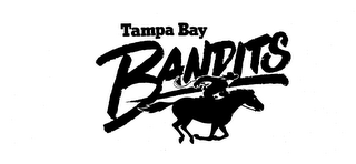 TAMPA BAY BANDITS logo
