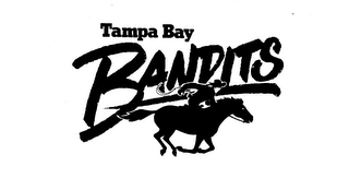 TAMPA BAY BANDITS logo