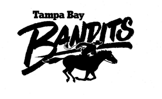 TAMPA BAY BANDITS logo