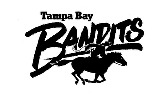 TAMPA BAY BANDITS logo