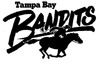 TAMPA BAY BANDITS logo
