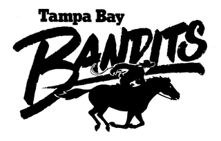 TAMPA BAY BANDITS logo