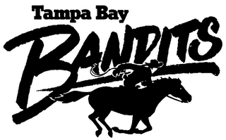 TAMPA BAY BANDITS logo