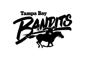 TAMPA BAY BANDITS logo
