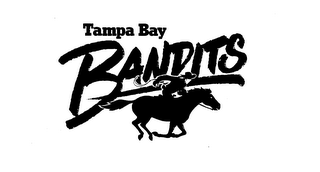 TAMPA BAY BANDITS logo