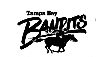 TAMPA BAY BANDITS logo
