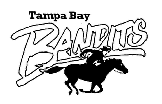 TAMPA BAY BANDITS logo