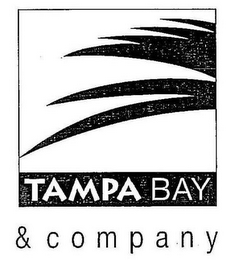 TAMPA BAY & COMPANY logo