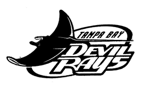 TAMPA BAY DEVIL RAYS logo