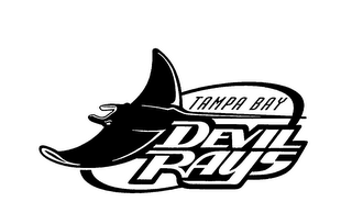 TAMPA BAY DEVIL RAYS logo