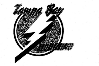 TAMPA BAY LIGHTNING logo