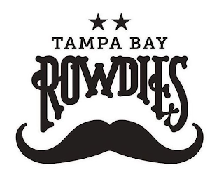 TAMPA BAY ROWDIES logo
