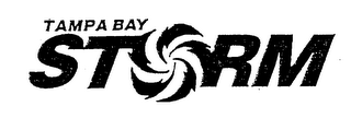 TAMPA BAY STORM logo