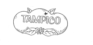 TAMPICO logo