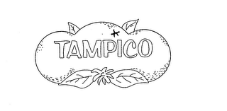 TAMPICO logo