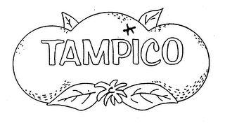TAMPICO logo
