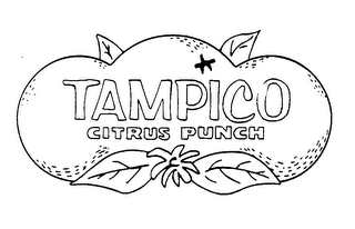 TAMPICO CITRUS PUNCH logo