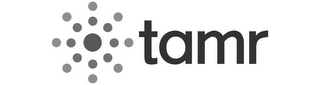 TAMR logo