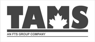 TAMS AN FTS GROUP COMPANY logo