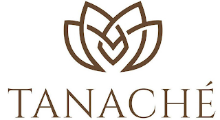 TANACHÉ logo