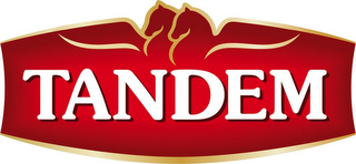 TANDEM logo