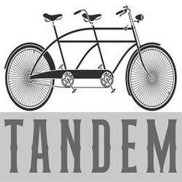 TANDEM logo