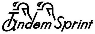 TANDEM SPRINT logo