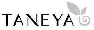 TANEYA logo