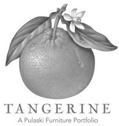 TANGERINE A PULASKI FURNITURE PORTFOLIO logo