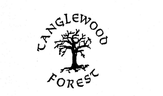 TANGLEWOOD FOREST logo