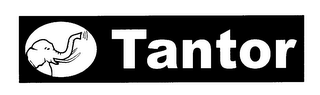 TANTOR logo